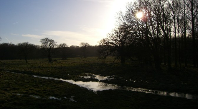 Ausflüge in die Natur: Jægersborg Dyrehave