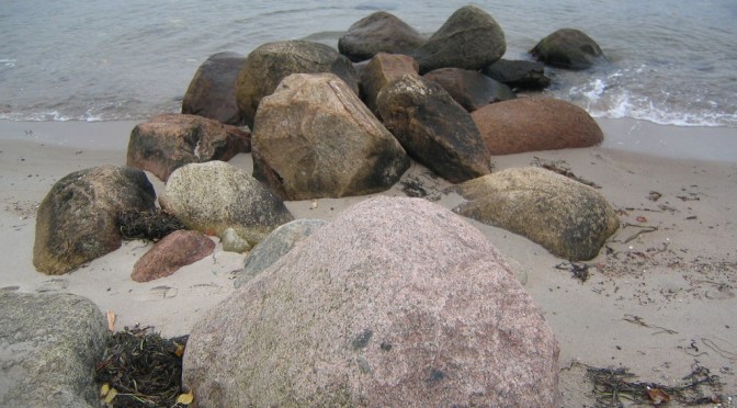 Eine unerwartete Begegnung