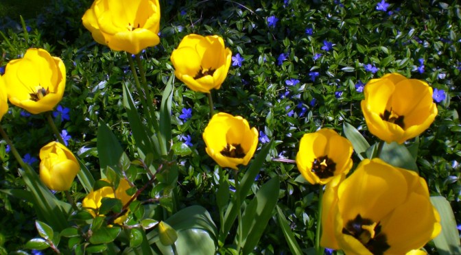 Der Frühling ist da! Draußen…