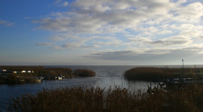 Urlaub an der dänischen Westküste: Ringkøbing Fjord