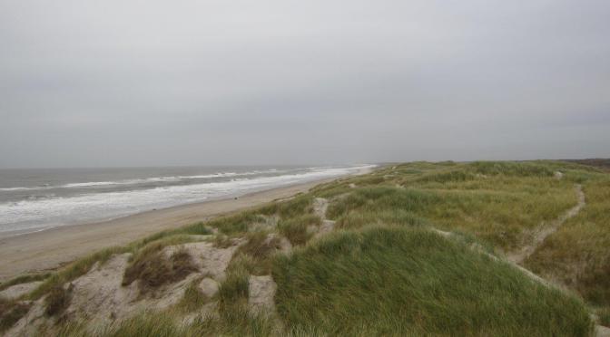 Urlaub an der Westküste in Dänemark: Kleine Hindernisse