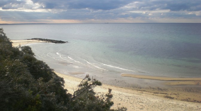Herbstausflug – Sommerhausgebiet Tollerup, Nordseeland