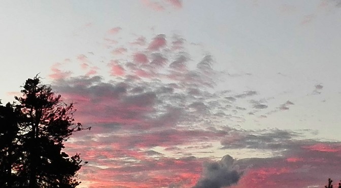 Heimlich, still und leise: Neue Logos!