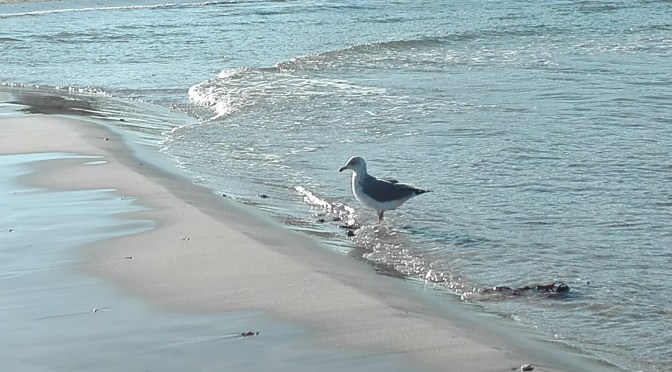 Ein paar Stunden am Meer