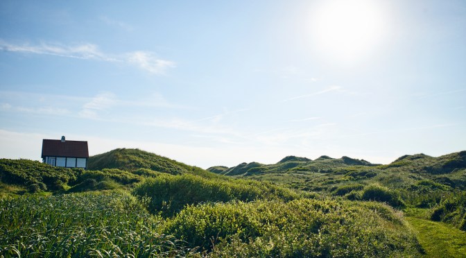 Neues Logo, Cofman-Gutscheine oder auch: der Blog macht noch ein Jahr weiter